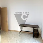 Rent 3 bedroom apartment of 100 m² in legnaro