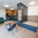 Pronajměte si 1 ložnic/e byt o rozloze 45 m² v Prague