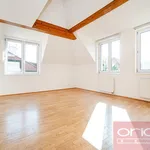 Rent 6 bedroom apartment of 250 m² in Prague