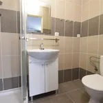 Rent 1 bedroom apartment in Brno