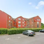 Rent 1 bedroom flat in Brighton