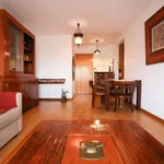 Rent 1 bedroom apartment in Lisbon