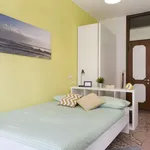 Rent a room in bologna