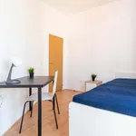 Rent a room in Lisboa