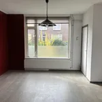 Huur 4 slaapkamer appartement van 80 m² in sommelsdijk