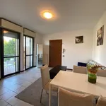 Rent 2 bedroom apartment of 50 m² in Brescia