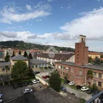 Rent 3 bedroom apartment of 70 m² in Pinerolo