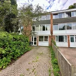 Rent 1 bedroom house in Winchester