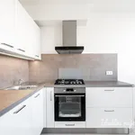 Rent 3 bedroom apartment in Praha 8