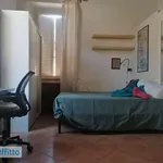 Rent 2 bedroom apartment of 40 m² in Rome