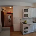 Rent 1 bedroom apartment of 26 m² in Szczecin