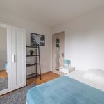 Rent 1 bedroom apartment of 11 m² in Strasbourg