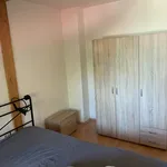 Rent 1 bedroom apartment in Brno venkov