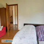 Rent 4 bedroom apartment of 120 m² in Ornavasso