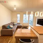 Rent 2 bedroom apartment of 65 m² in Praha