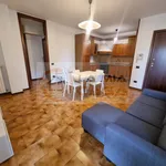 Rent 3 bedroom apartment of 100 m² in legnaro