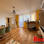 Rent 4 bedroom apartment of 101 m² in Brno