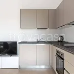 Rent 2 bedroom apartment of 56 m² in Milano