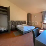 Rent 4 bedroom apartment of 120 m² in Firenze