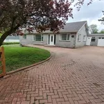 Detached bungalow to rent in Shepherds, St Newlyn East, Newquay TR8