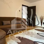 Rent 2 bedroom apartment of 54 m² in Timișoara