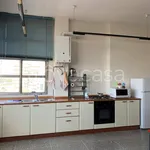 Rent 2 bedroom apartment of 60 m² in Busto Arsizio