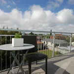 Rent 2 bedroom apartment in Auckland