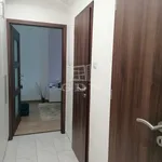 Rent 3 bedroom apartment of 15 m² in Szeged