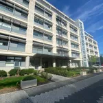 Rent 1 bedroom apartment in Harlow