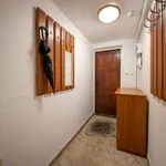 Rent 2 bedroom house of 80 m² in Wrocław