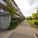 Rent 2 bedroom apartment of 44 m² in München