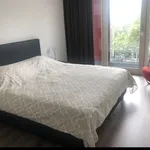 Huur 2 slaapkamer appartement van 76 m² in Cool