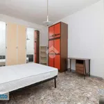 Rent 3 bedroom apartment of 70 m² in Bologna