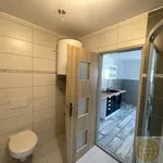 Rent 1 bedroom apartment of 40 m² in Tábor