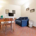 Rent 1 bedroom apartment in florence