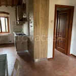 Rent 2 bedroom apartment of 45 m² in Firenze