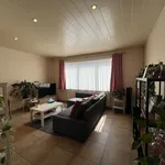 Rent 2 bedroom house in Leuven