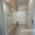 Pronajměte si 1 ložnic/e byt o rozloze 30 m² v Pilsen