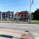 Rent 1 bedroom apartment of 30 m² in Brno