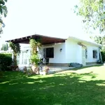 Rent 3 bedroom house of 800 m² in Marbella