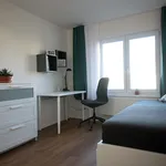 Rent a room of 270 m² in Prague