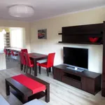 Rent 2 bedroom apartment of 47 m² in Katowice