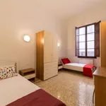 Rent a room in florence