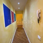 Rent 3 bedroom apartment of 80 m² in Lucca