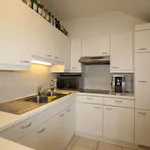 Rent 1 bedroom apartment in Harelbeke