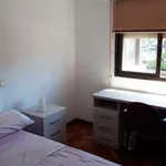 Rent a room in madrid