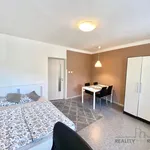 Pronajměte si 1 ložnic/e byt o rozloze 28 m² v Olomouc