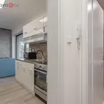 Rent 1 bedroom apartment of 23 m² in Trhový Štěpánov