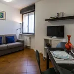 Rent 1 bedroom apartment of 30 m² in Udine