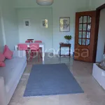 Rent 4 bedroom apartment of 65 m² in Genova